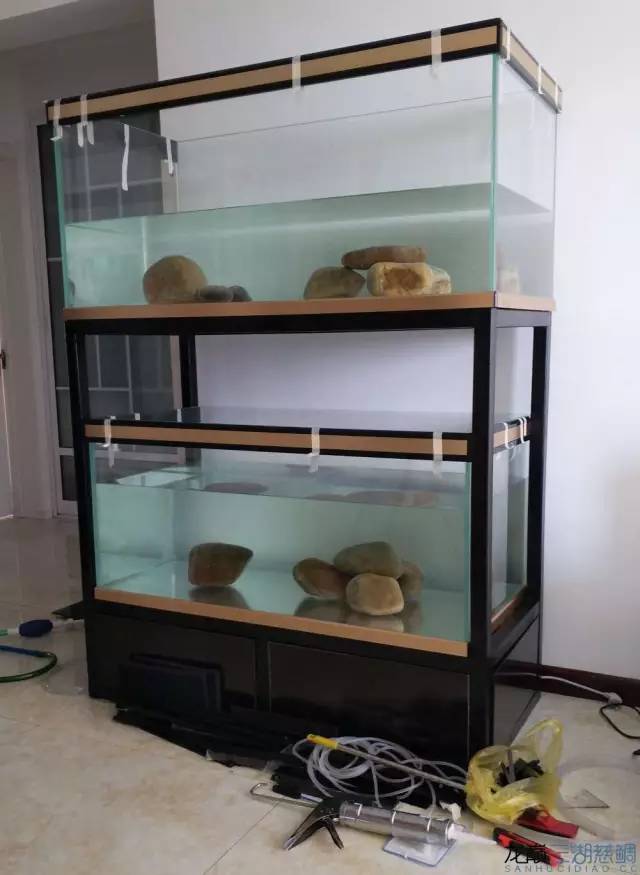 从零开始原生缸,从零开始造景缸