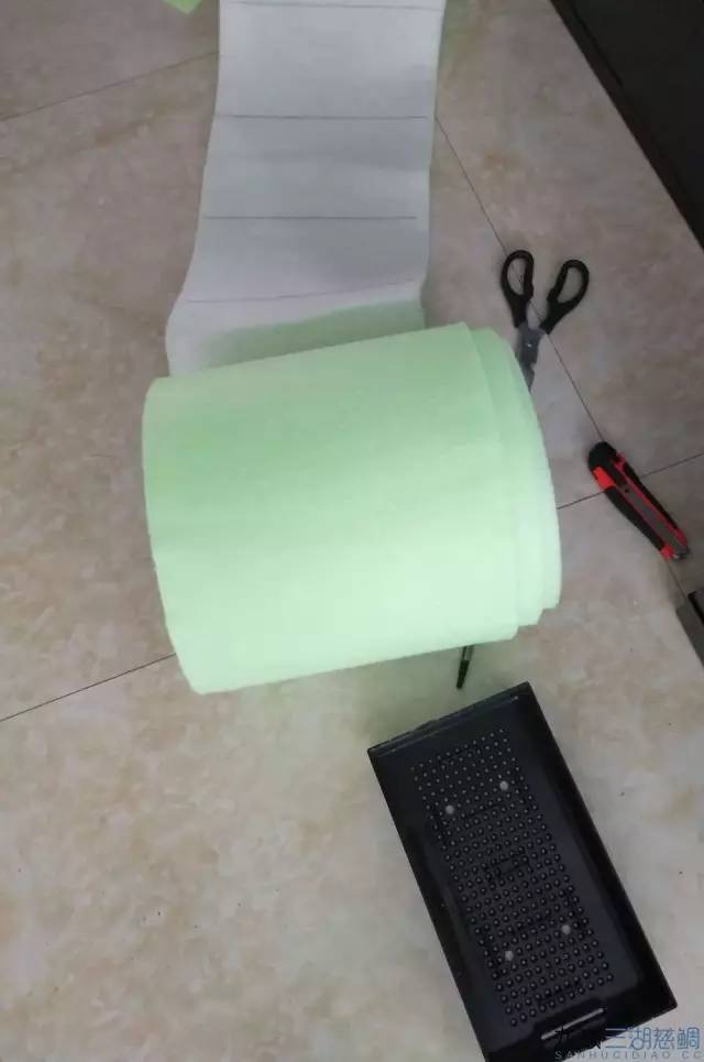 从零开始原生缸,从零开始造景缸