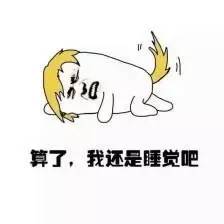 有一天，失去了网络安全，日子将过成怎样？