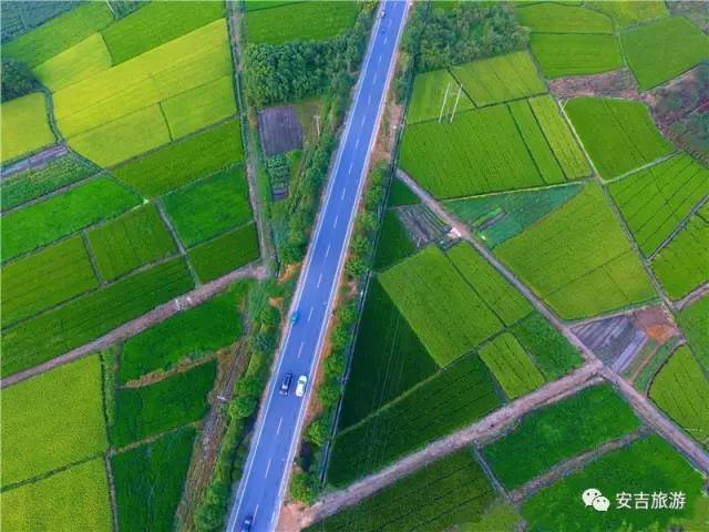 游玩中国大竹海,中国大竹海旅游