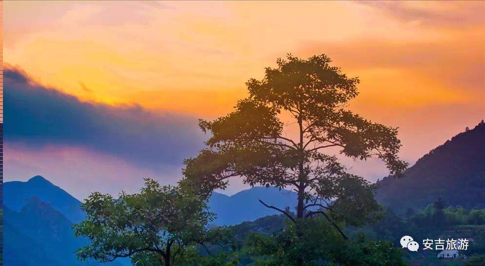 游玩中国大竹海,中国大竹海旅游