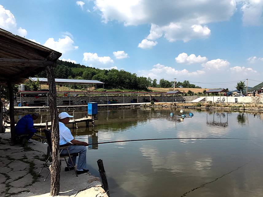 抓住暑假尾巴来一波,抓住暑假的尾巴来钓鱼