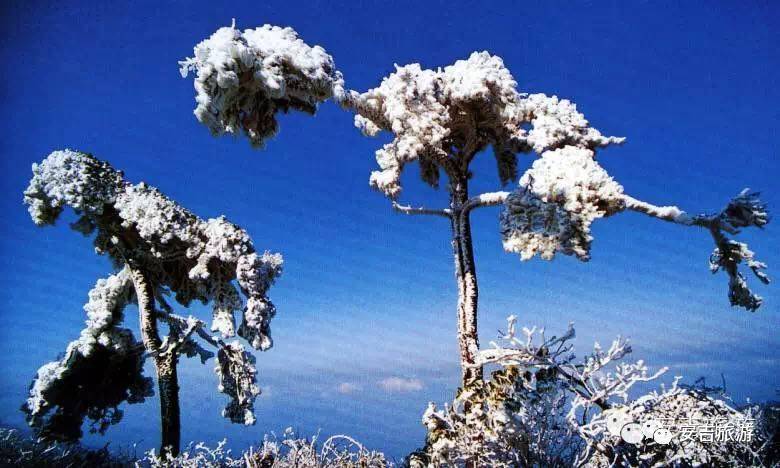 游玩中国大竹海,中国大竹海旅游