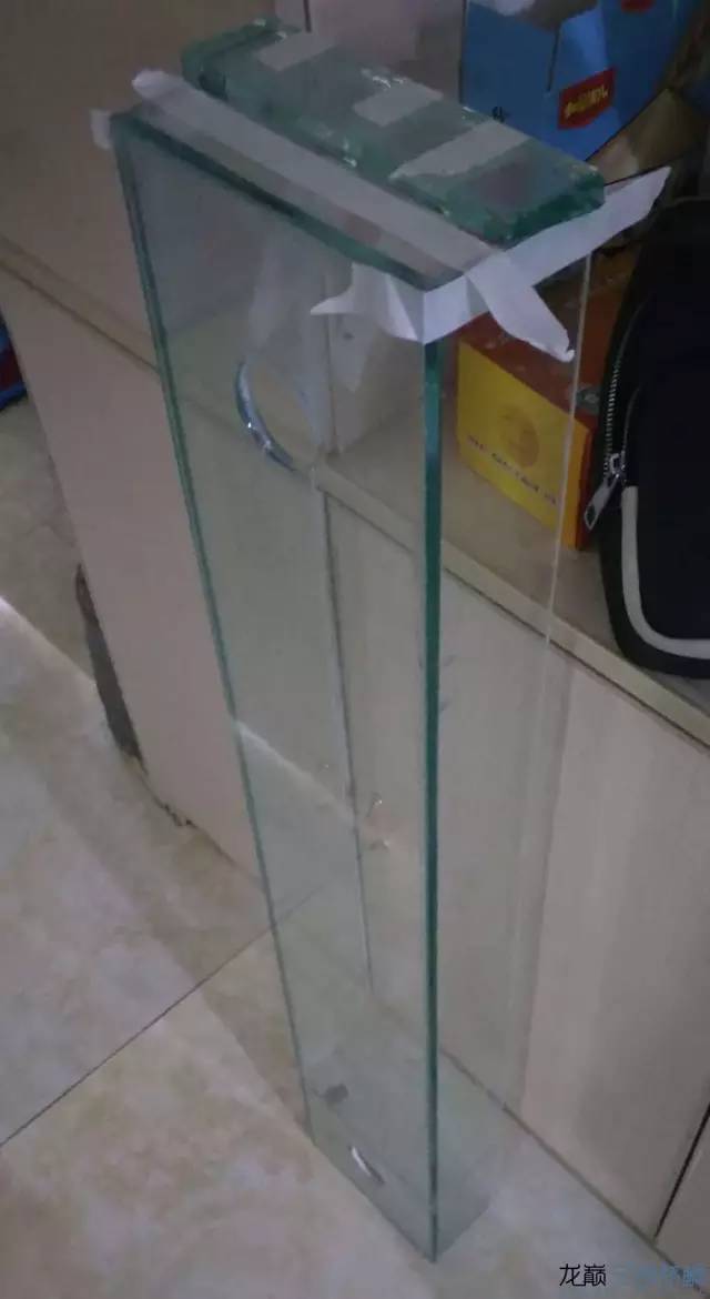 从零开始原生缸,从零开始造景缸