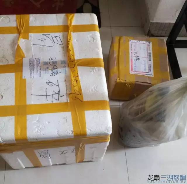 从零开始原生缸,从零开始造景缸