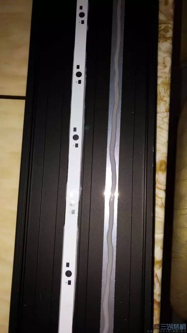 从零开始原生缸,从零开始造景缸