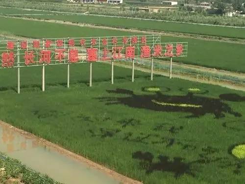 宁夏必买的十大特产排名前十,g20峰会中国国宴菜