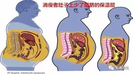 你的脾胃虚弱吗,你的肠胃