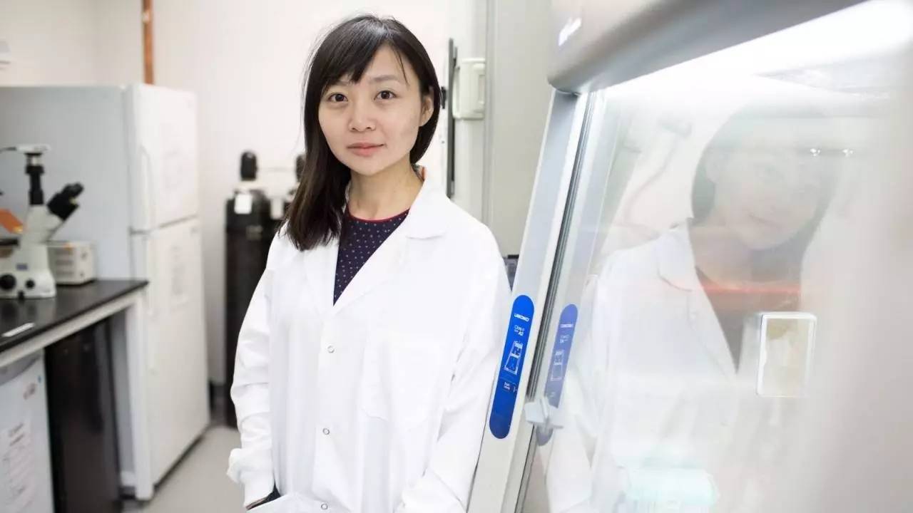 中国最年轻的正教授多少岁,30岁以下的正教授