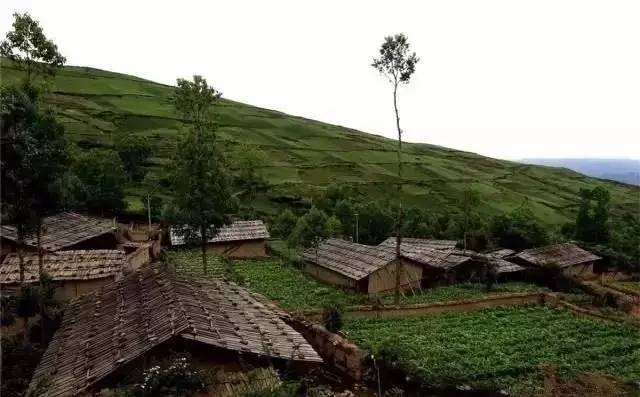 凉山彝族非遗文化有哪些,凉山彝族非遗