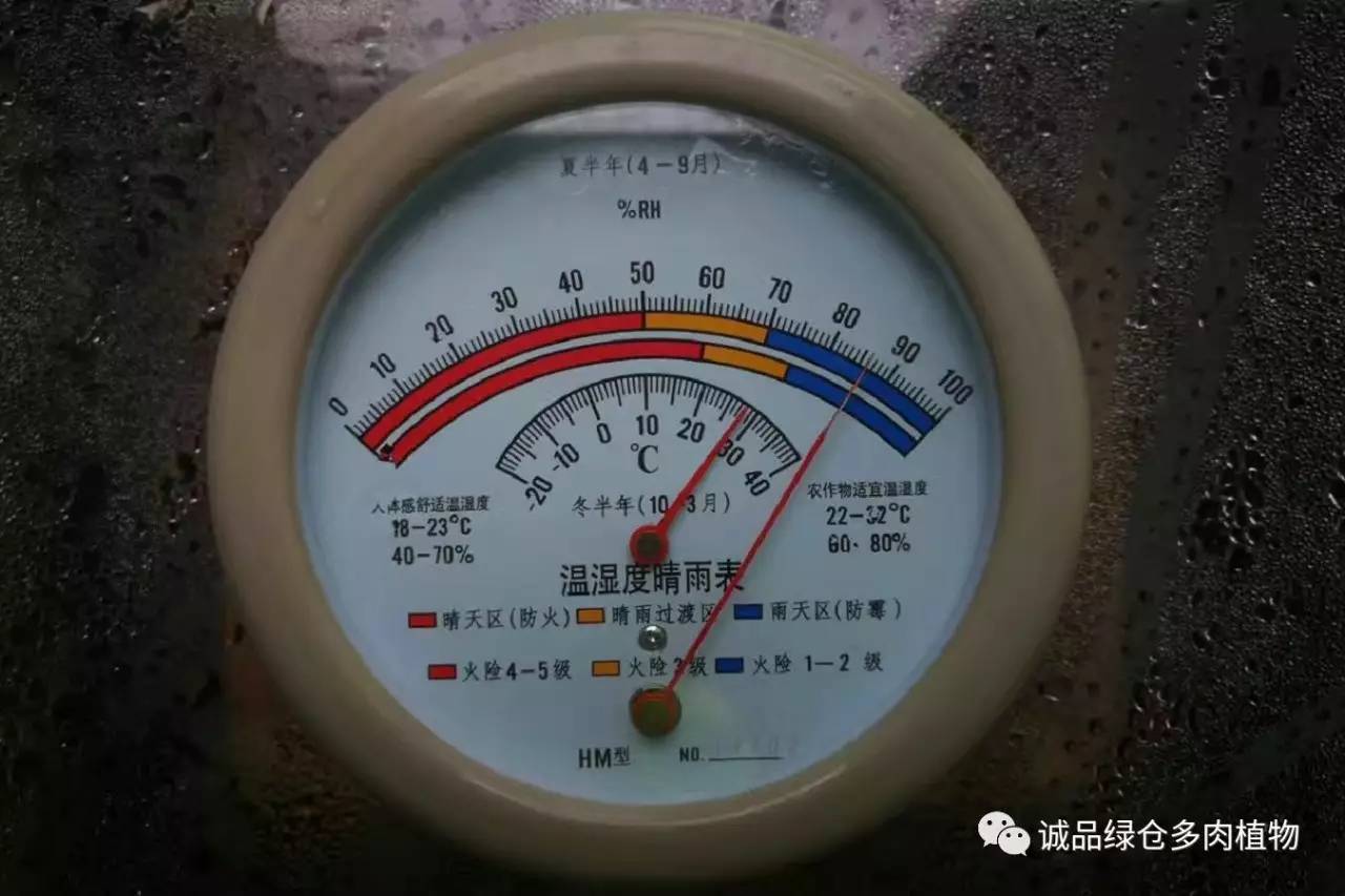 涨姿势｜当不成学霸总得做一回“播”霸（夏播生石花第38天）