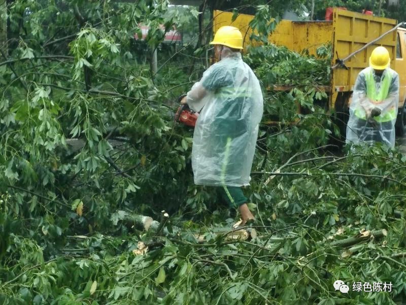 台风天鸽来袭广州 (广东台风天鸽路径)
