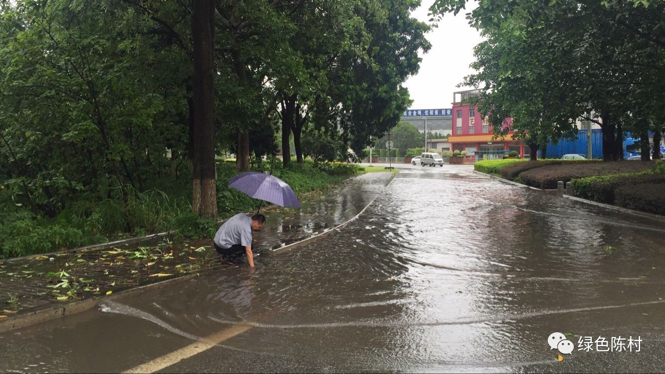 台风天鸽来袭广州 (广东台风天鸽路径)