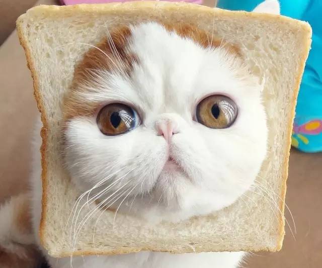 我们脸有多脏,我们的皮肤有多脏