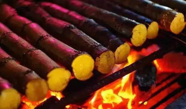 水果玉米煮还是蒸,哪些水果能蒸着吃