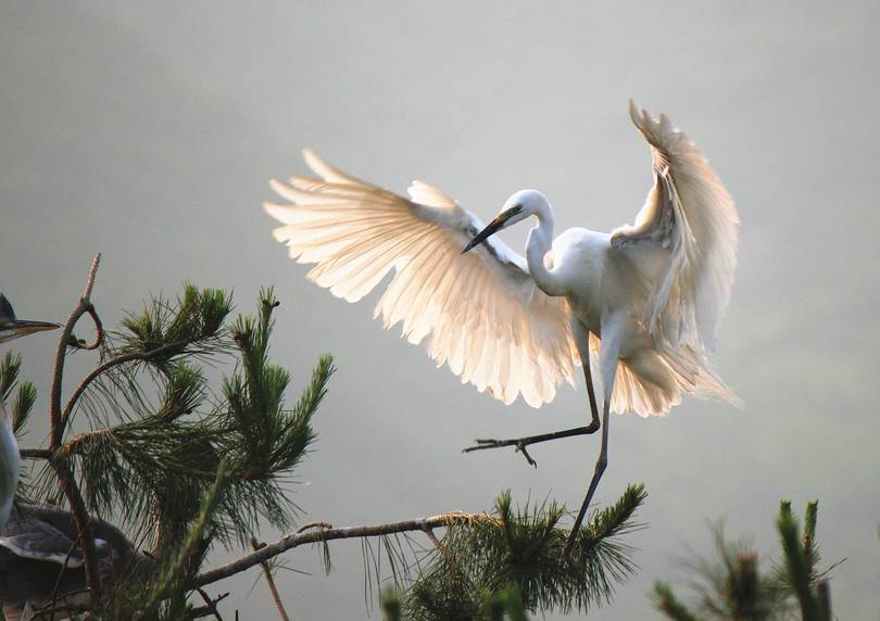弓长岭夜景比较美的地方,弓长岭风景