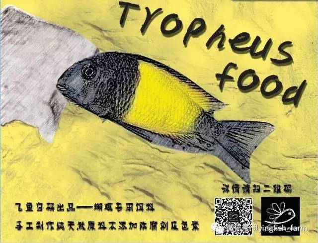 从零开始原生缸,从零开始造景缸