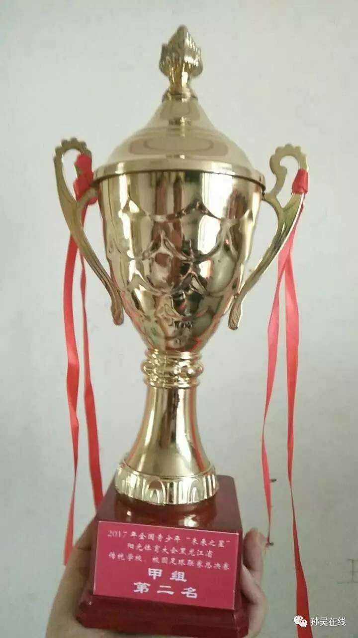 「喜报」县第二中学代表队在2017年全国青少年“未来之星”阳光体育大会黑龙江省分会场暨传统校、校园足球总决赛中荣获亚军