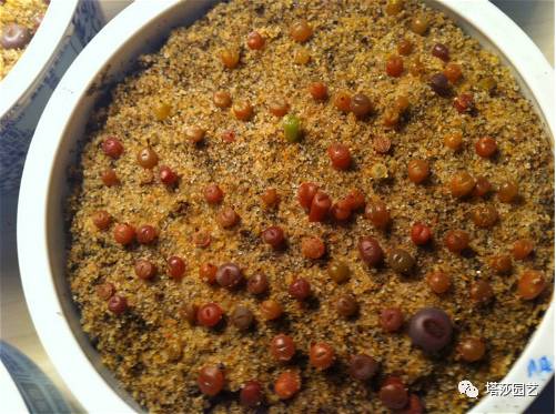 生石花的种子是自己的品种吗,生石花像丝绒一样的是什么品种