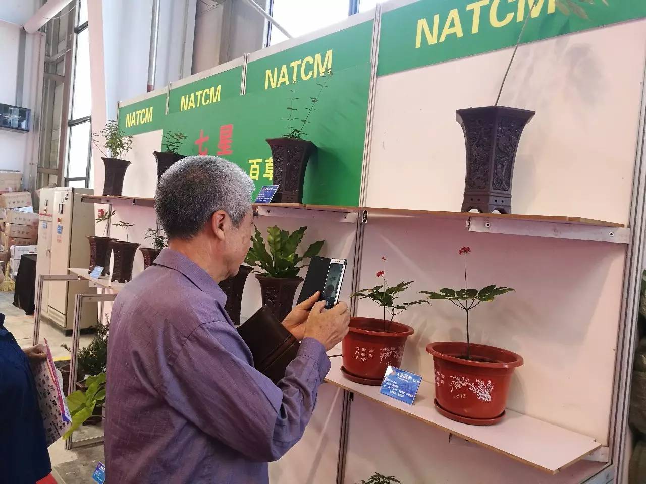 我校在东博：展传统医药特色，推中医文化发展