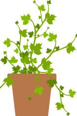 生完孩子奶涨孩子吸不出怎么办,奶妈生完宝宝4天还没有奶怎么办