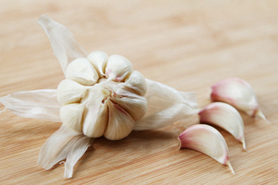 南方夏季实用的驱蚊工具,夏季如何选择驱蚊产品