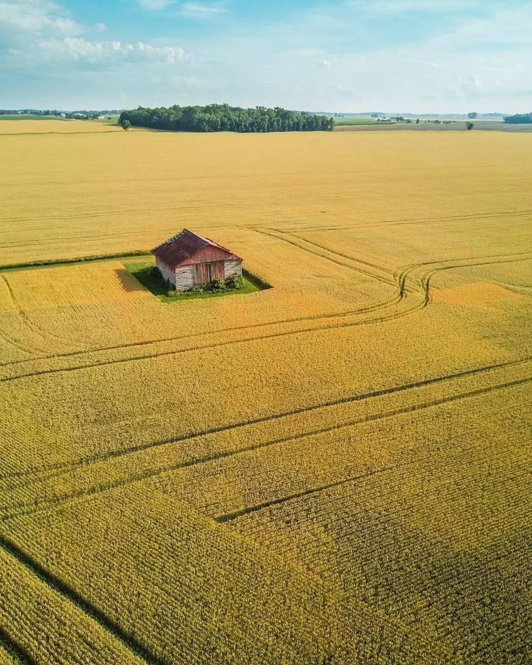 你有过被盗经历吗,你有过被盗图的经历吗