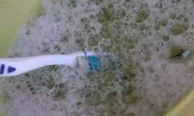 小白鞋的清洁妙招如何清洗小白鞋,小白鞋怎样清洗