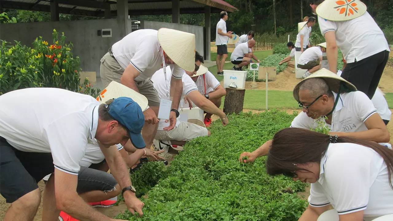 机+酒人均￥5699起，在越南这座超惬意的海岛，住4晚悦榕庄姊妹品牌