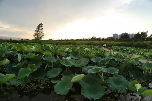 红河谷一日游最佳攻略,红河谷旅游攻略11月一日游