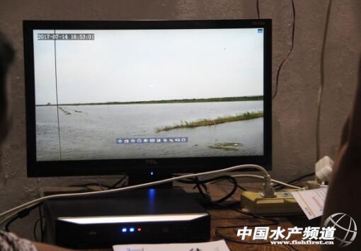 小龙虾属于什么养殖方法,小龙虾怎么养殖个头大