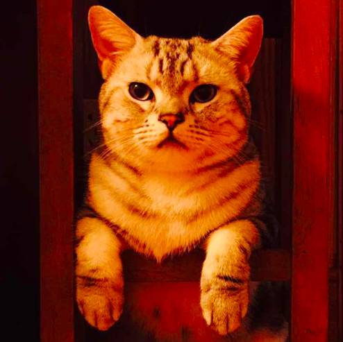 好物节年中大促,好东西优惠大促