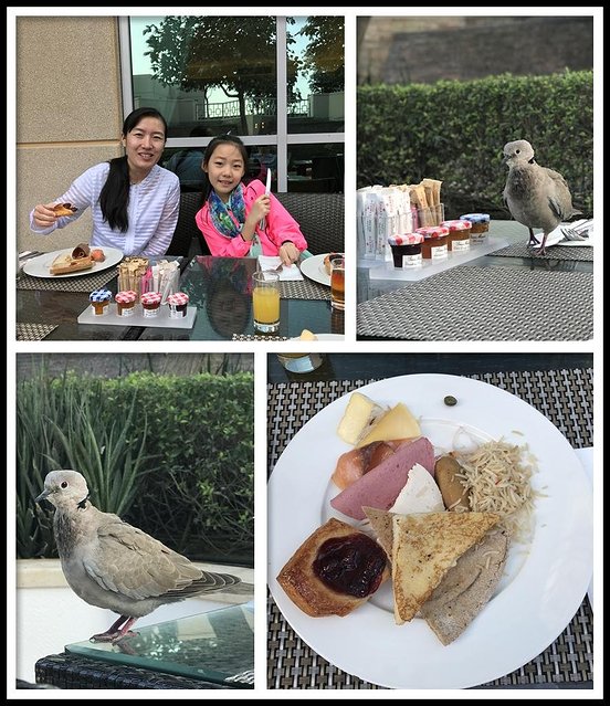 英英自驾旅游,迪拜自驾七日游攻略