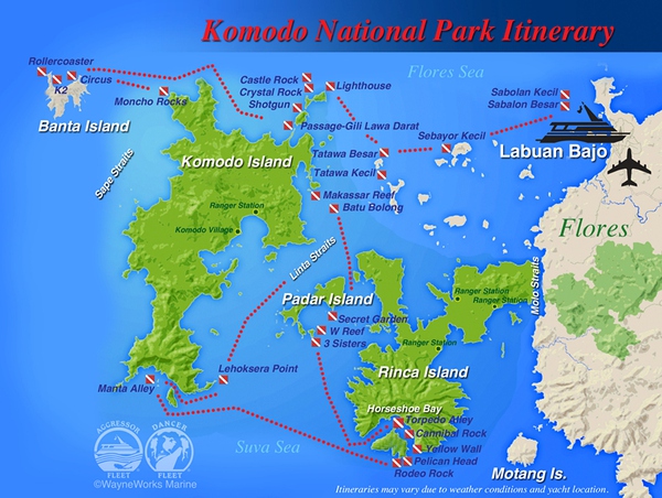 船宿潜水要什么水平,从零开始的潜水教练