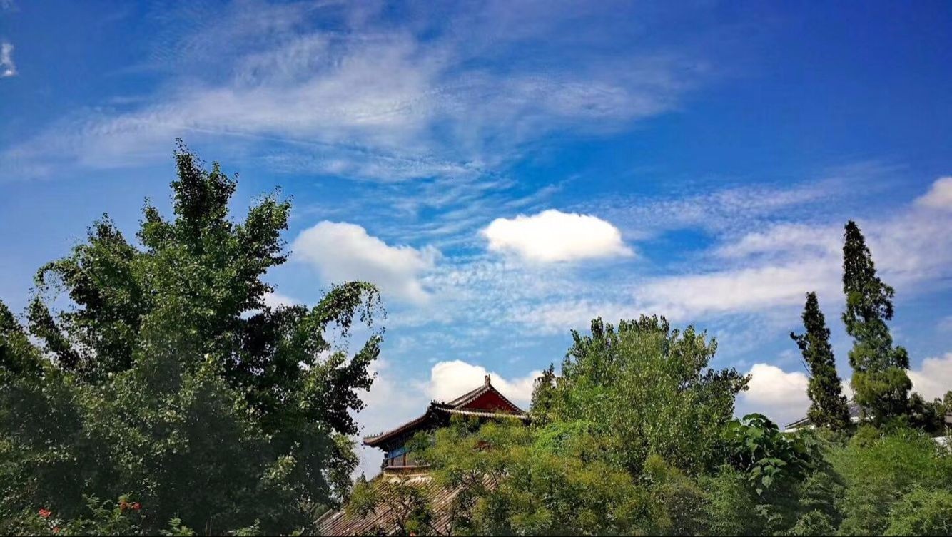又是一年蒙山夜宿季