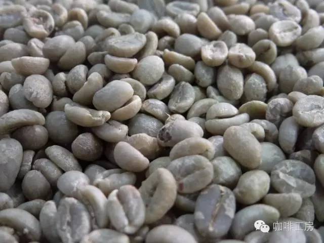 单品咖啡和意式咖啡,咖啡品种科普