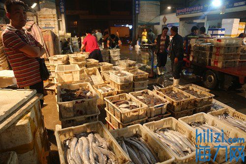 水产批发市场都有哪些海鲜,开渔首日最新视频
