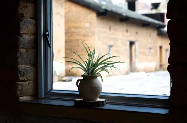 广西最奇特的民宿,广西巴马百魔洞包吃住的民宿