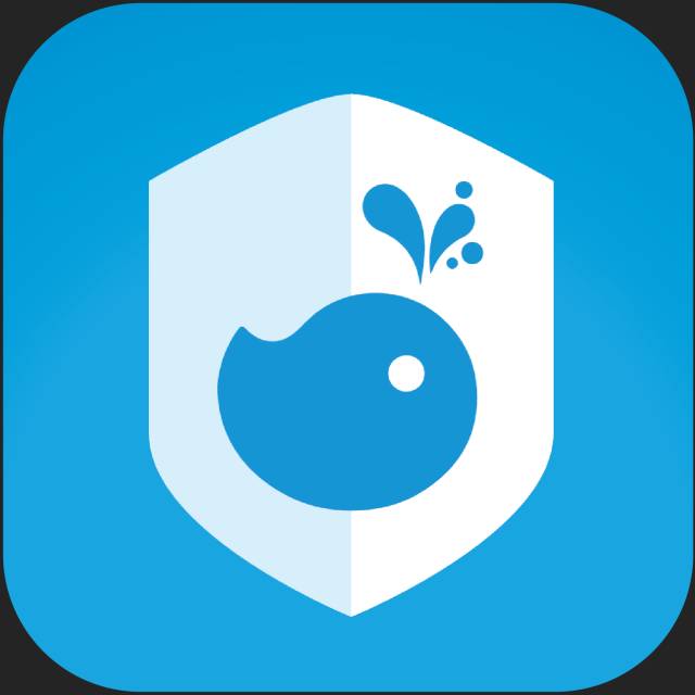 证金汇金操盘手法,证金投资策略