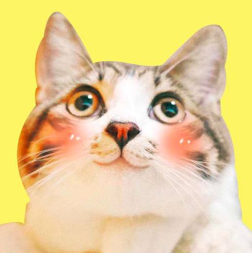 好物节年中大促,好东西优惠大促