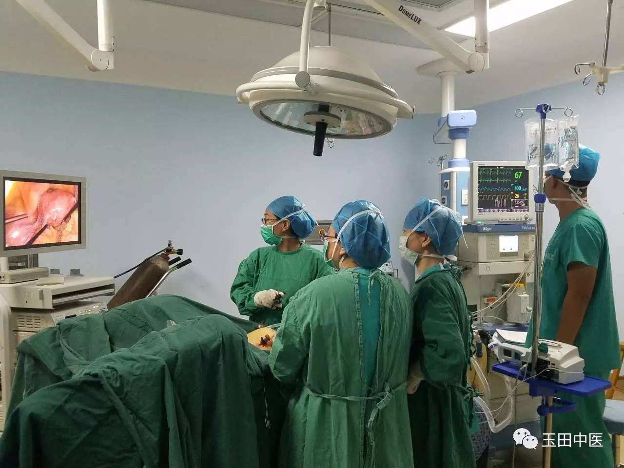 贫血吃什么补血最快女性,女性贫血最好的养血方法