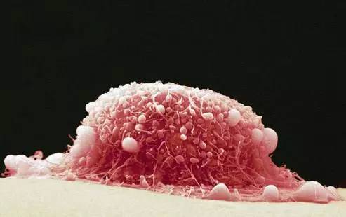 妇科主任给女性的10大建议,妇科专家总结