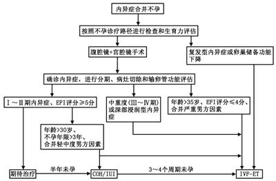 痛经的你要小心这六种疾病,痛经淤堵看过来