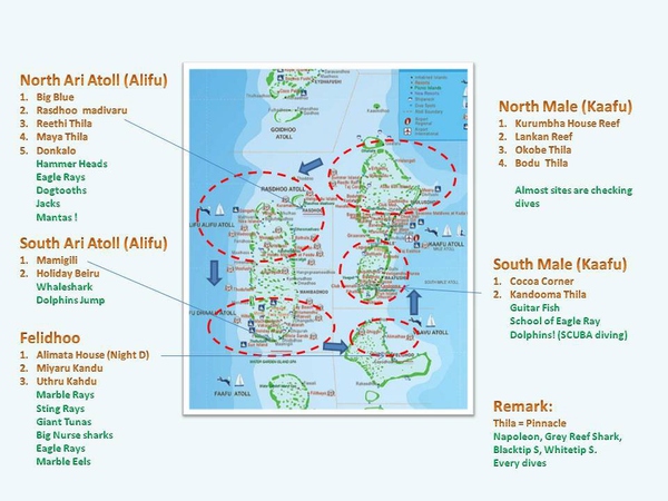 船宿潜水要什么水平,从零开始的潜水教练