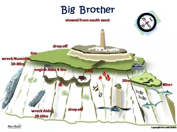 船宿潜水要什么水平,从零开始的潜水教练