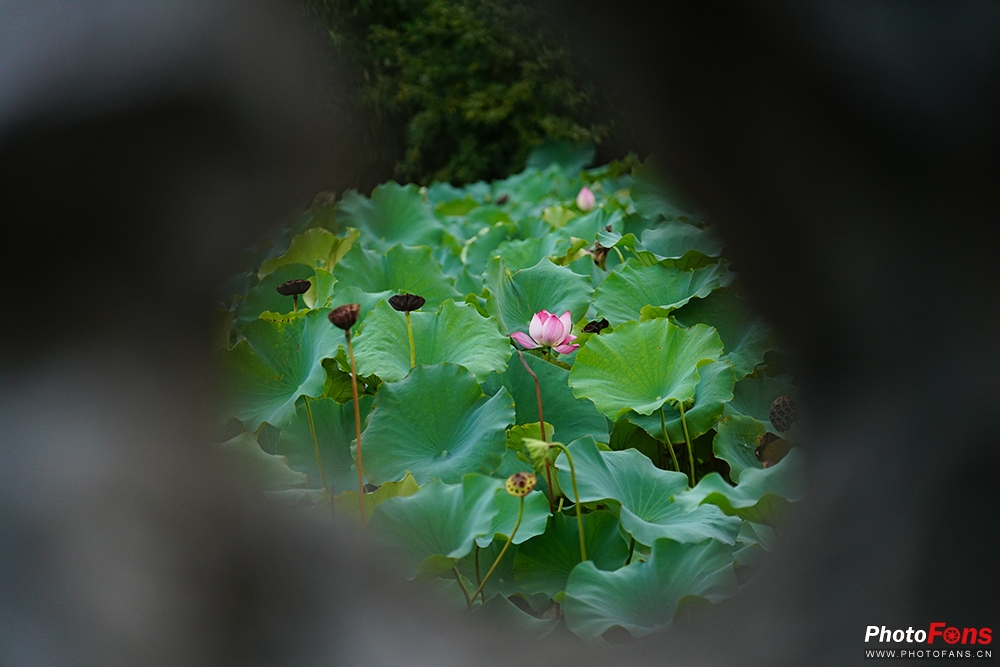 钄″徃batis50-1.4闀滃ご璇勬祴,钄″徃batis18f2.8娴嬭瘎