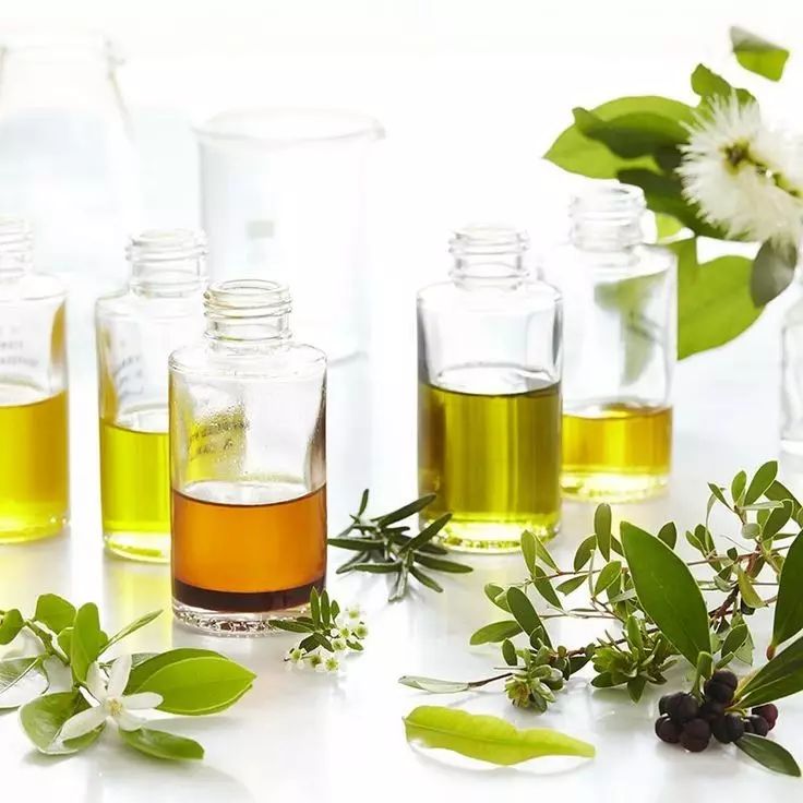 澳洲的家用生活用品哪些最好用,澳洲清洁好物推荐平价