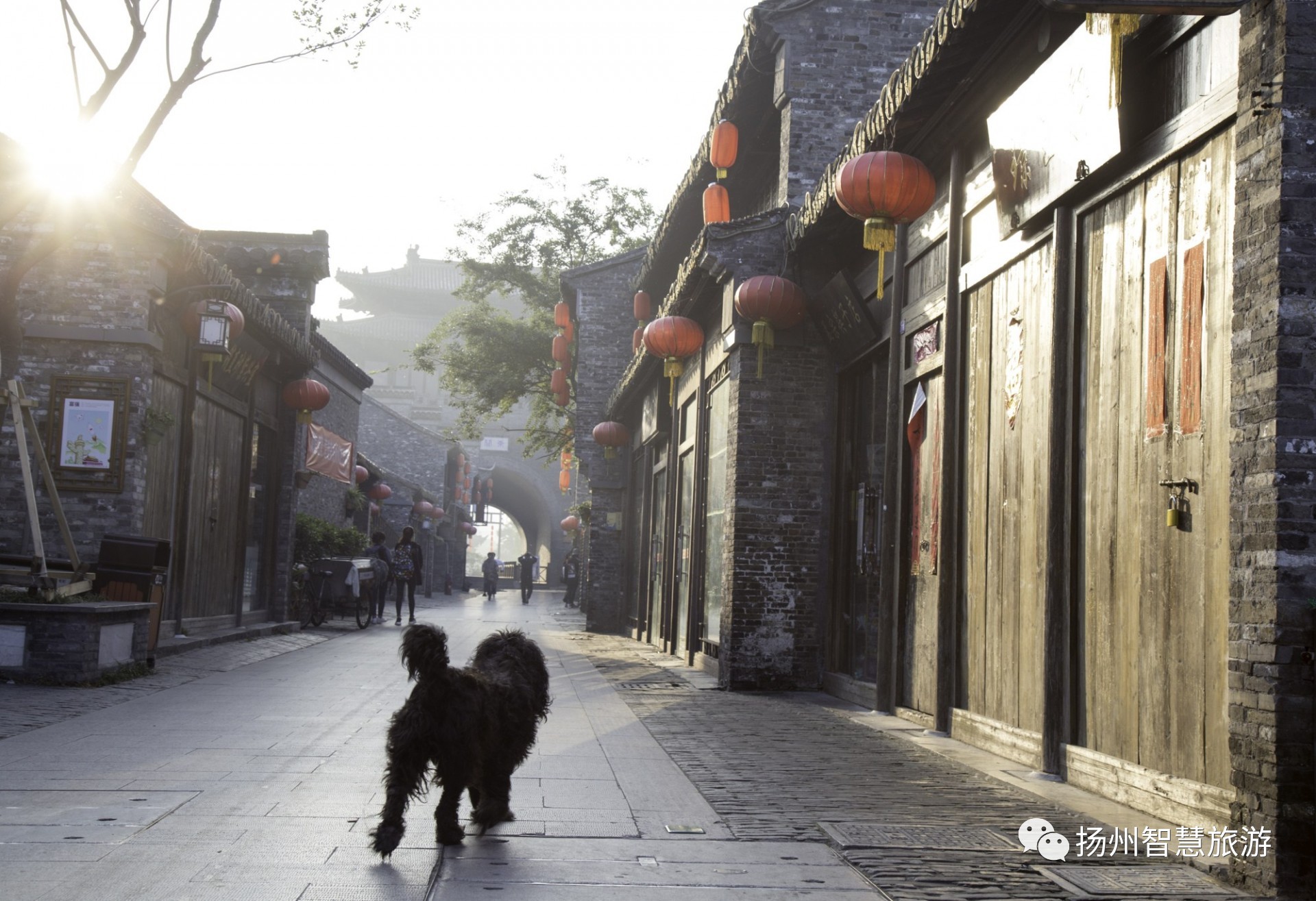 烟雨小巷人家,扬州烟雨蒙蒙小视频