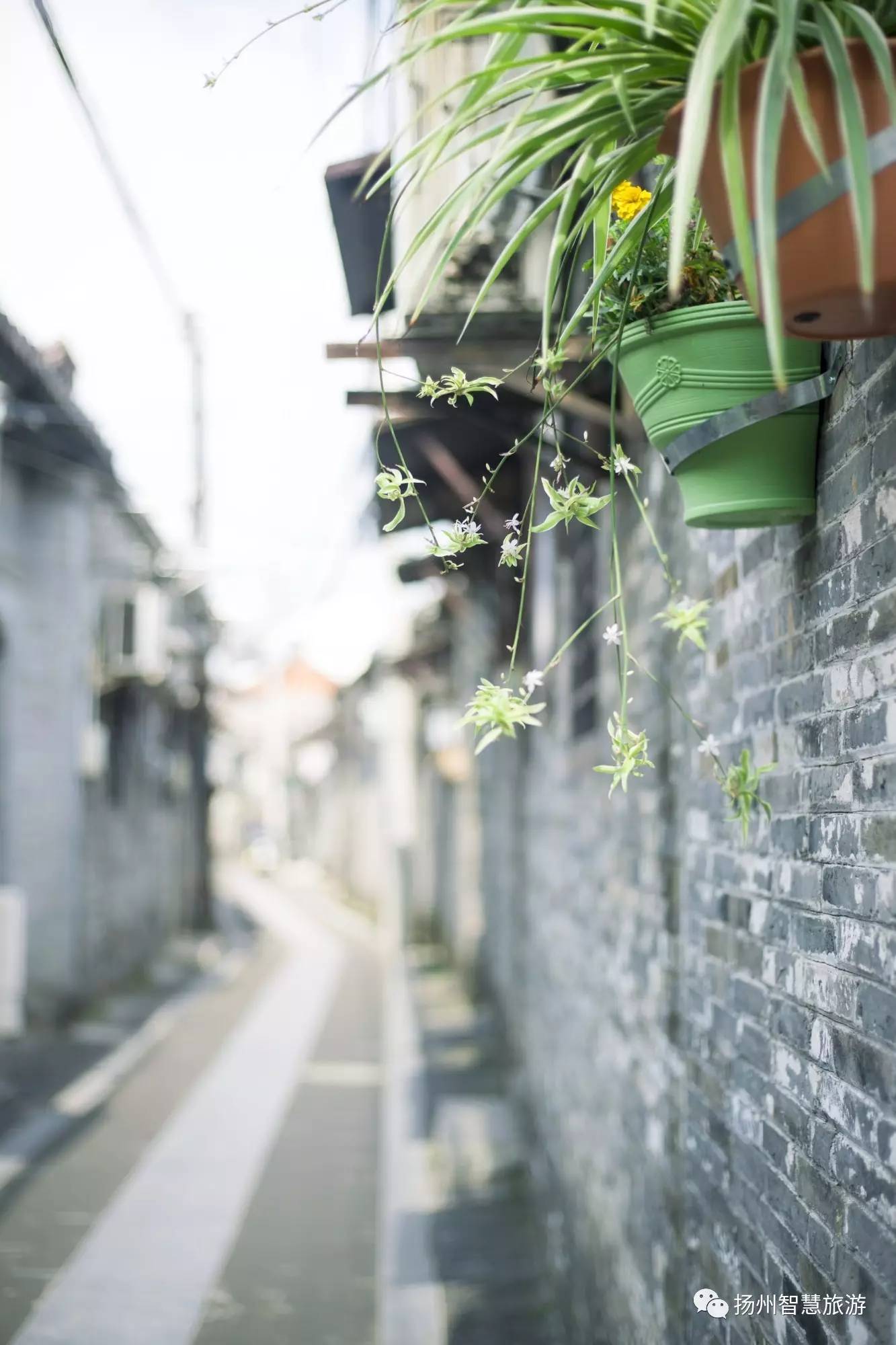 烟雨小巷人家,扬州烟雨蒙蒙小视频