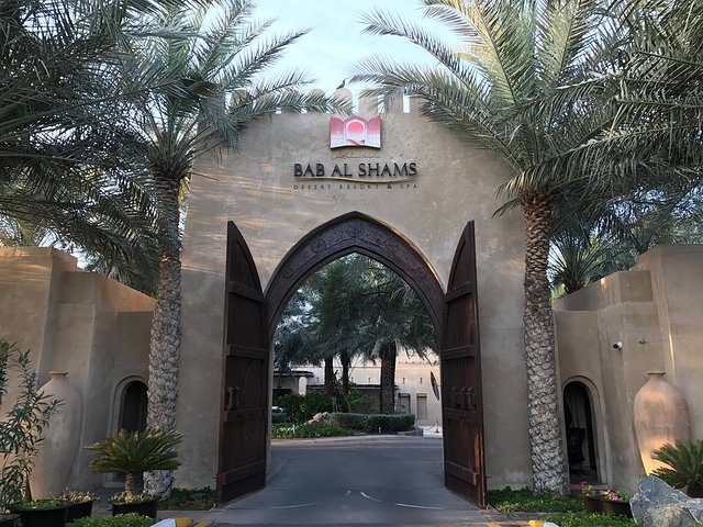 英英自驾旅游,迪拜自驾七日游攻略